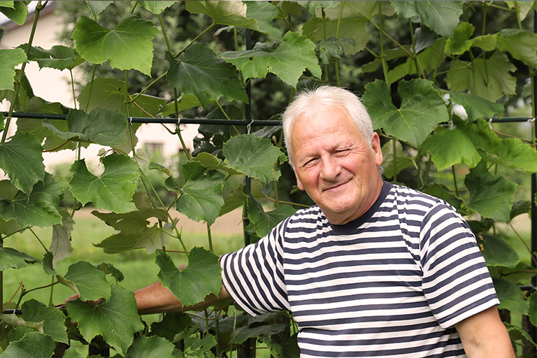 Mirko, Karlovac